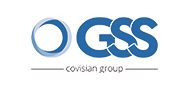 Grupo GSS
