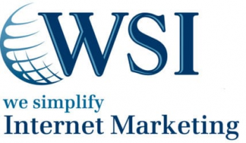 We Simplify Internet (WSI)