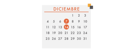 ACTIVIDADES AER DICIEMBRE