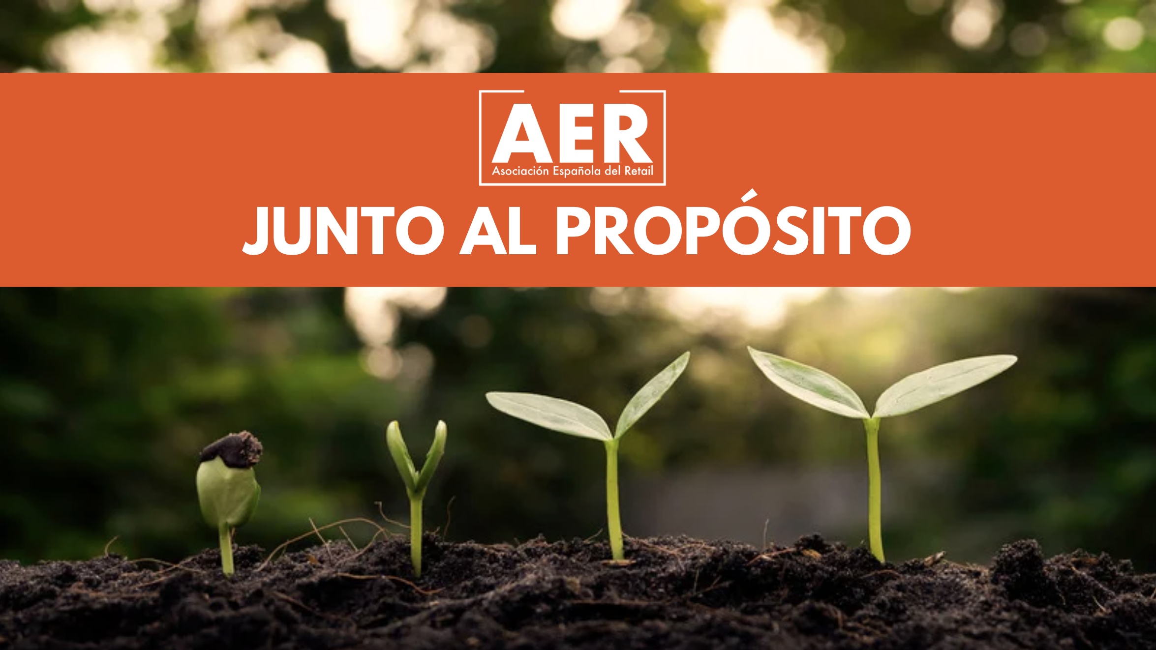 Cabecera Noticia - AER Junto al Proposito