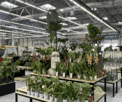 TECMIN RETAIL Y VERDECORA